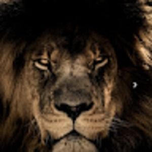 Meet your Posher, Derrick